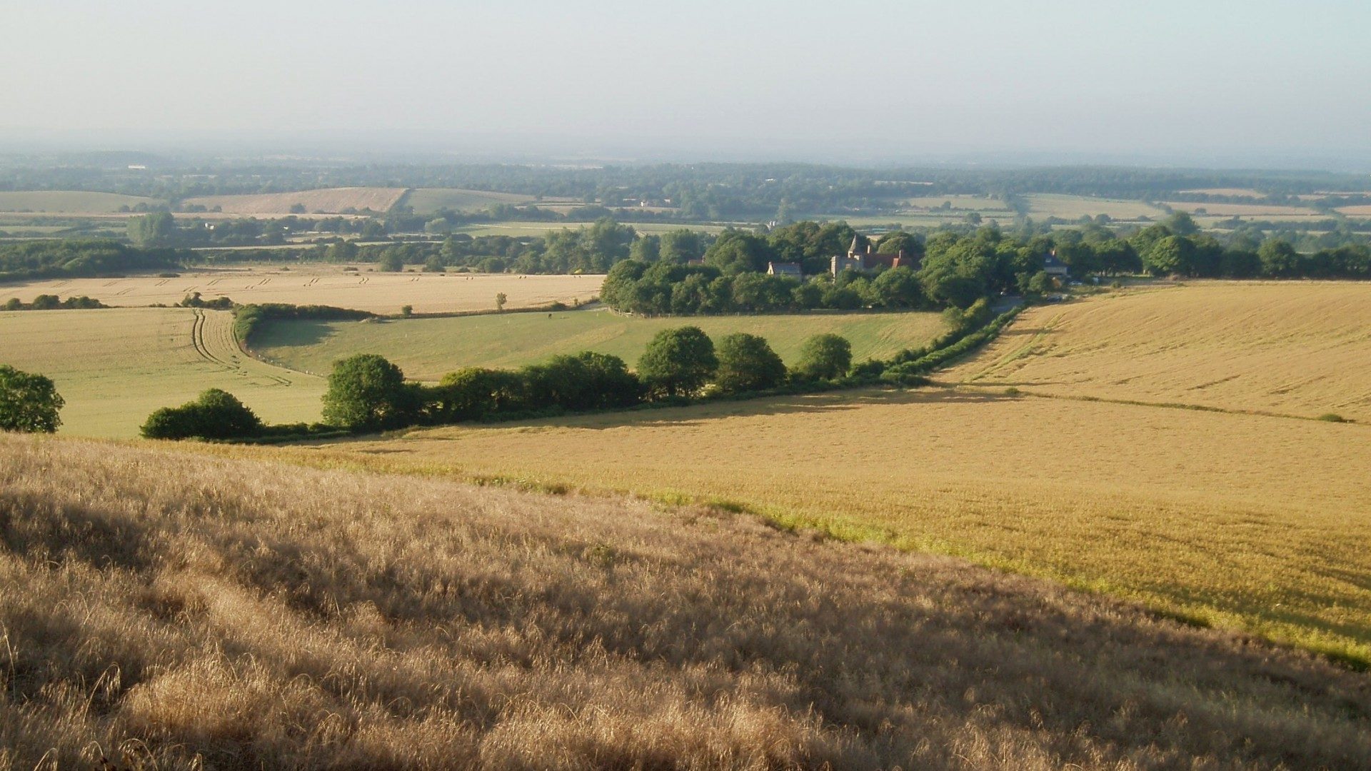 Habitats regulations assessments Thomson Environment Consultants