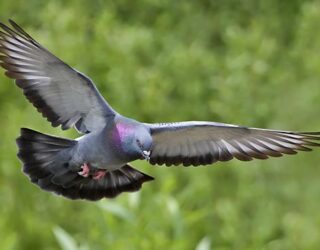 The power of nature…