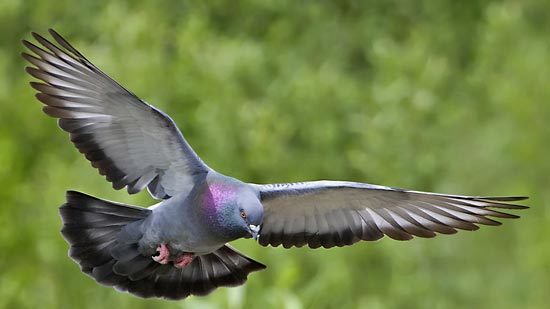 The power of nature…