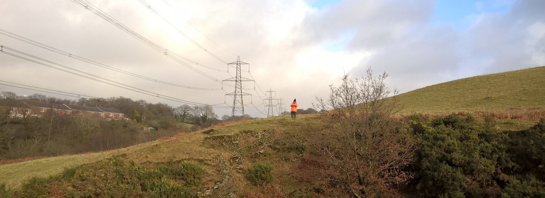 Combining surveys saves time and money for your project