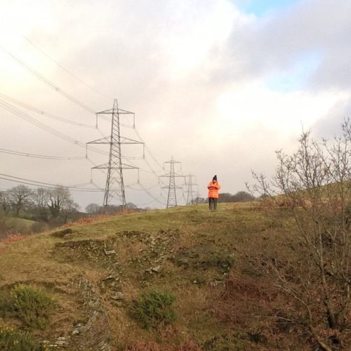Combining surveys saves time and money for your project