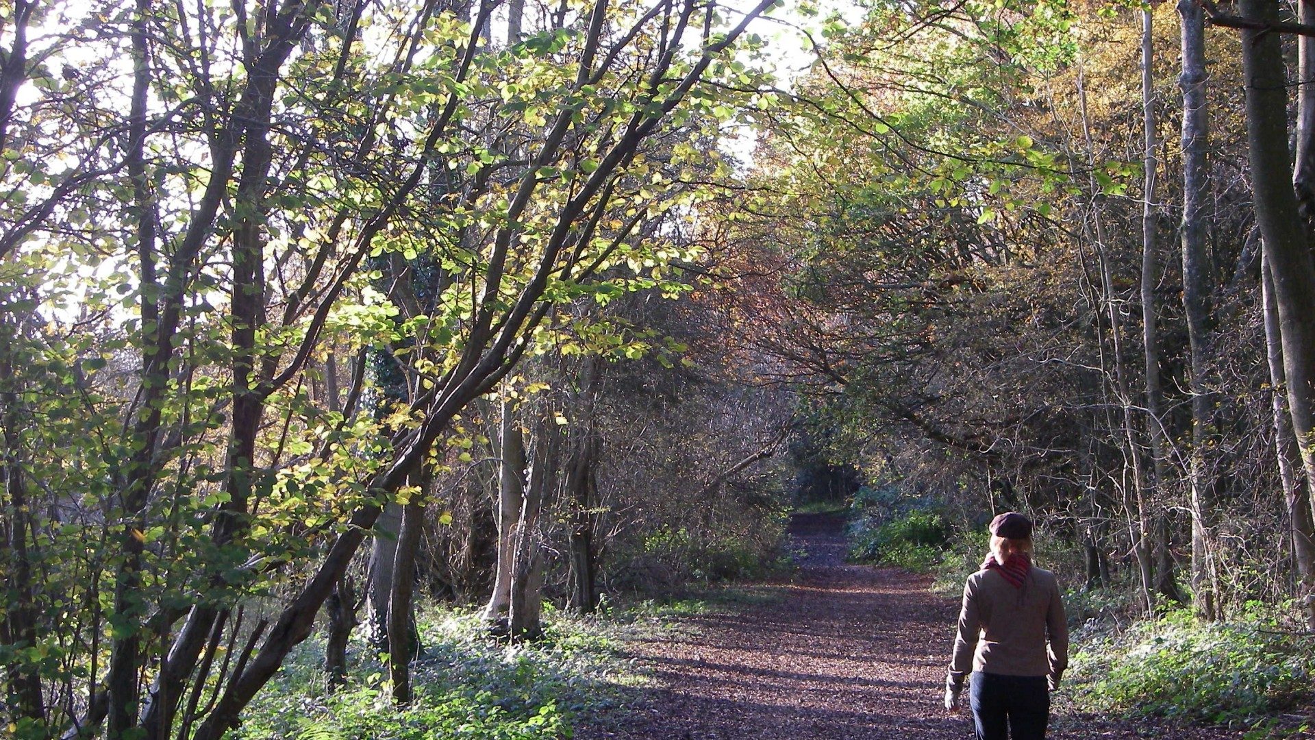 New technology and the increase in noise pollution
