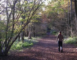 New technology and the increase in noise pollution