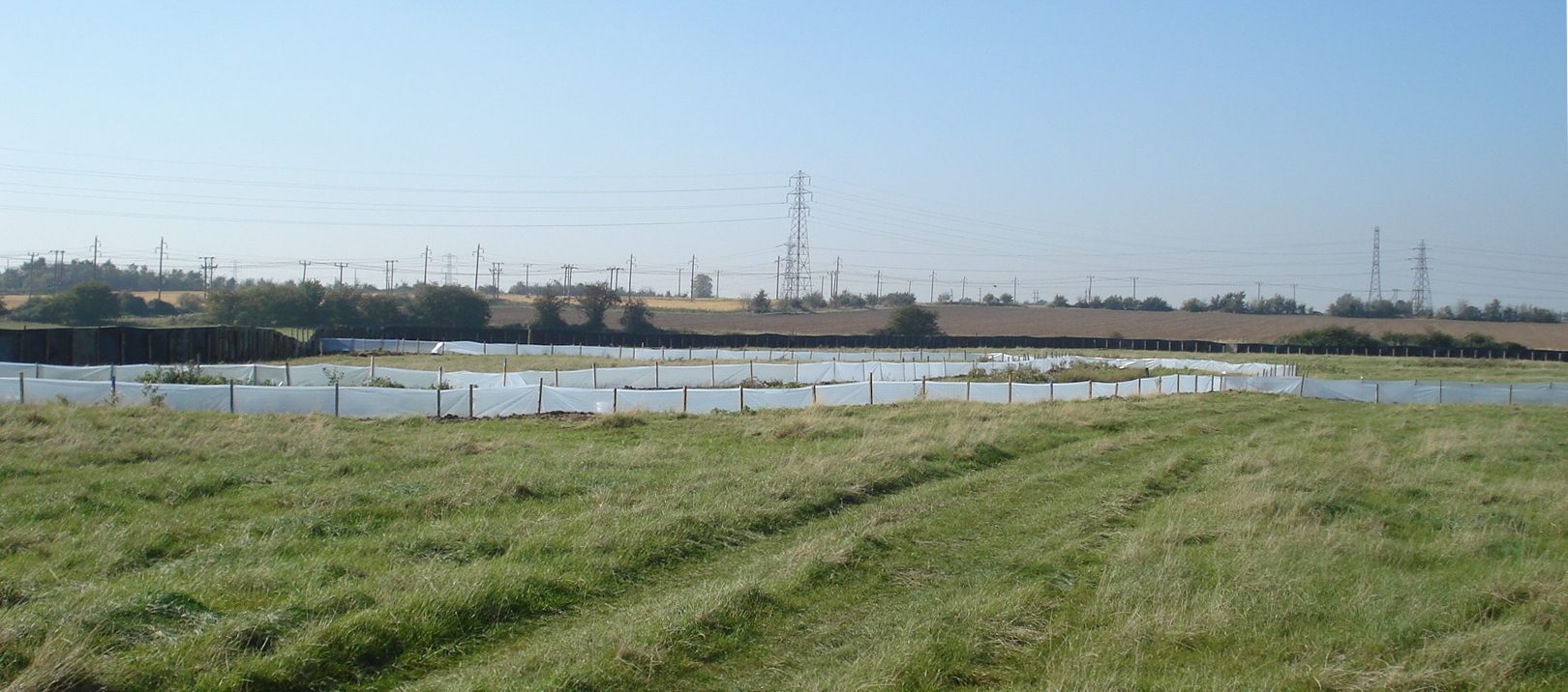 Ecological mitigation and expert services, London Gateway Access Road