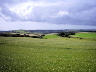 Habitat connectivity mapping
