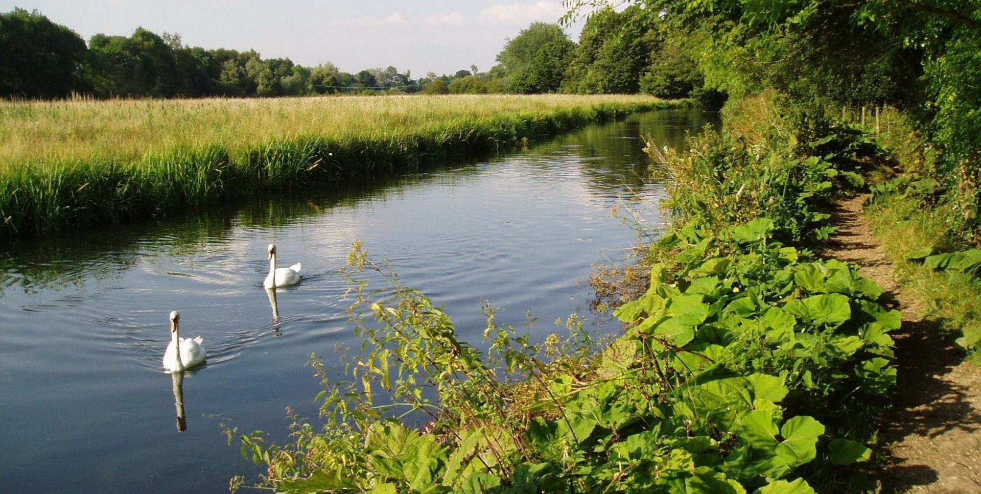 Keeping a close eye on groundwater