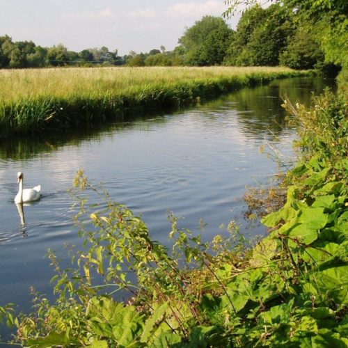 Keeping a close eye on groundwater