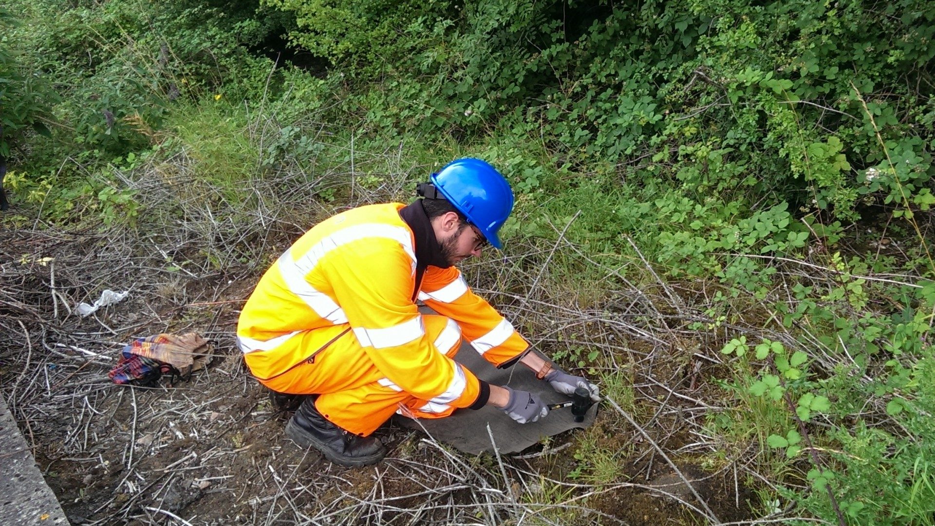 Ecology surveys, Great Western Route Modernisation