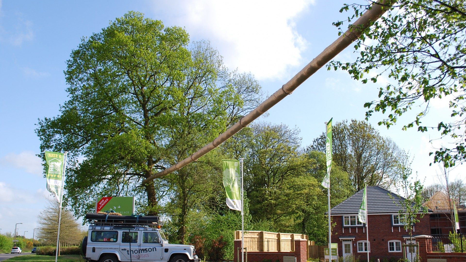 Dormouse bridge construction 1