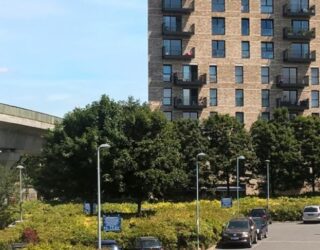 Vegetation clearance, Silvertown Docks, London