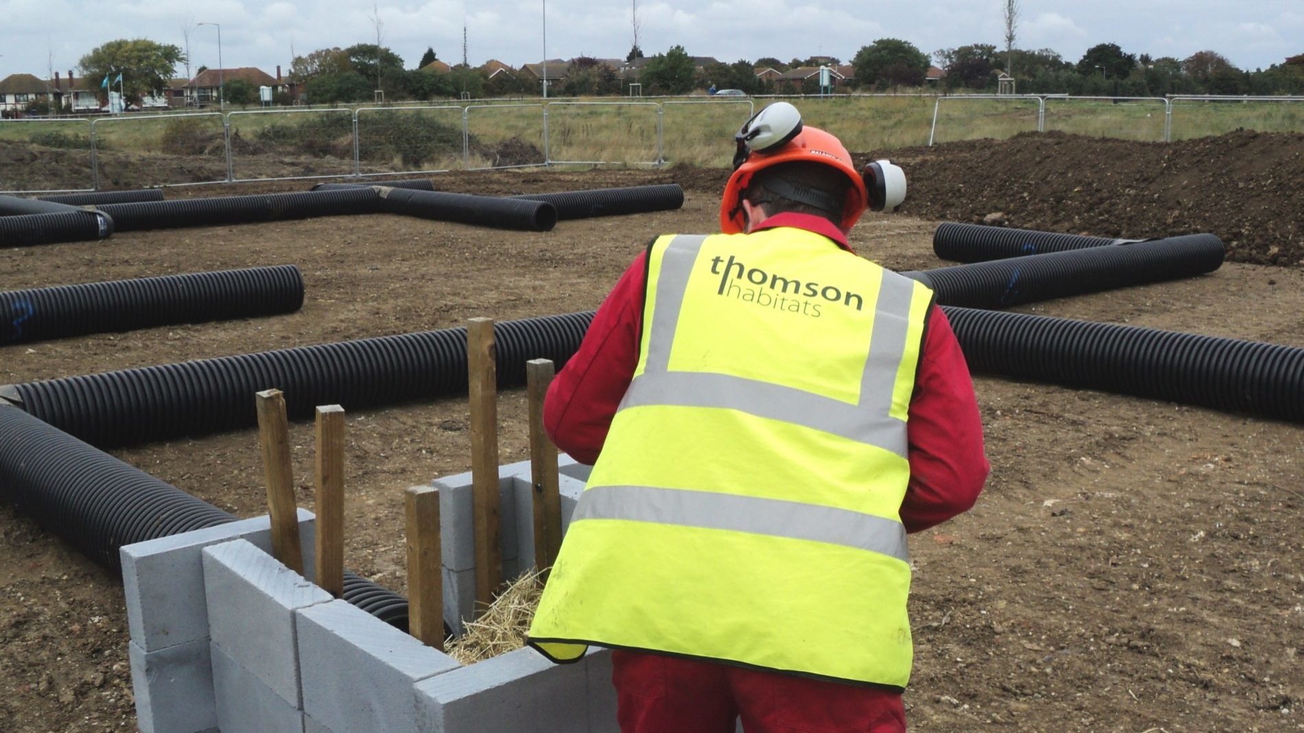 Badger sett closure and artificial sett creation, Shoeburyness