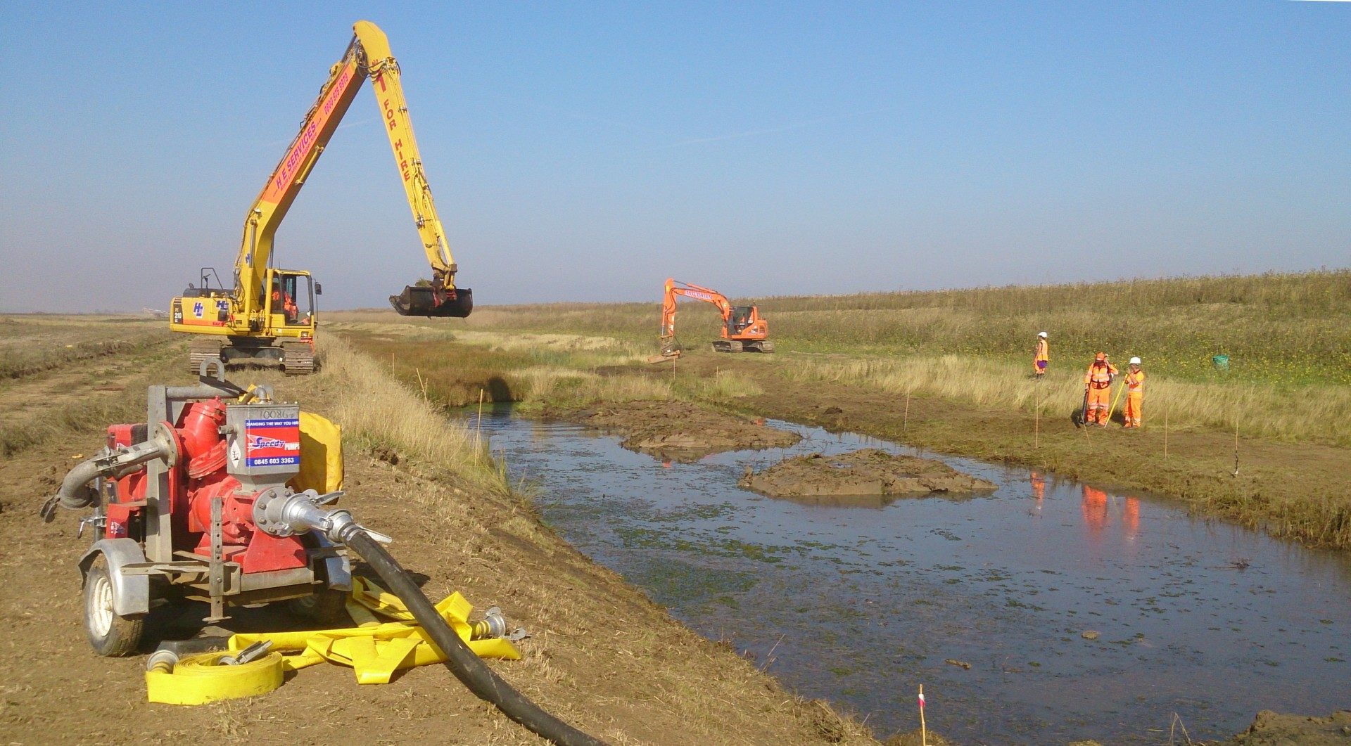 Water vole mitigation, Wallasea Island