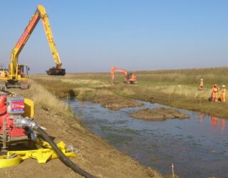Water vole mitigation, Wallasea Island