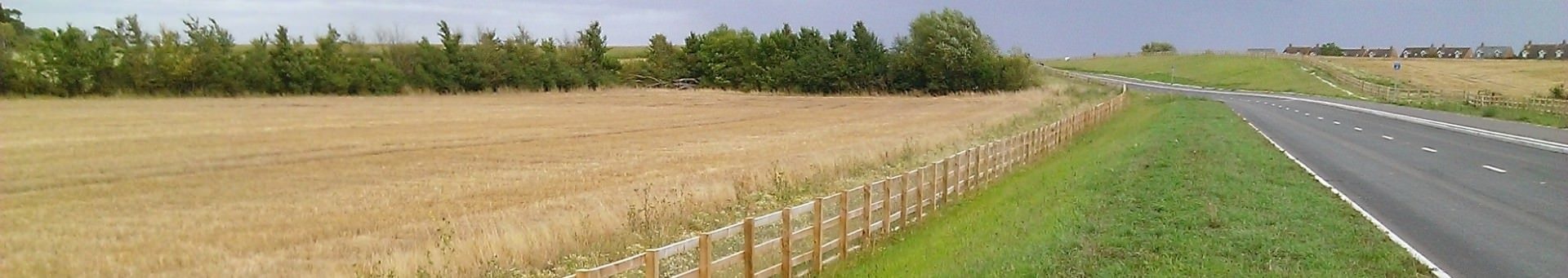 Badger and otter fencing and soft landscaping, Aylesbury