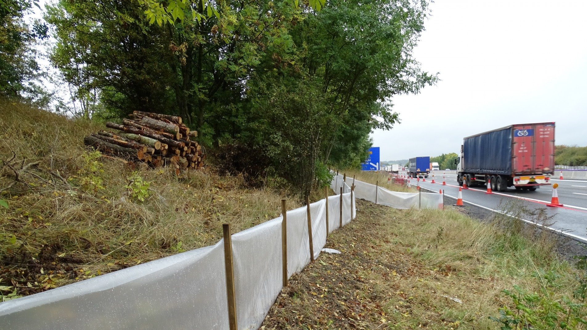 Great crested newt mitigation works, M1