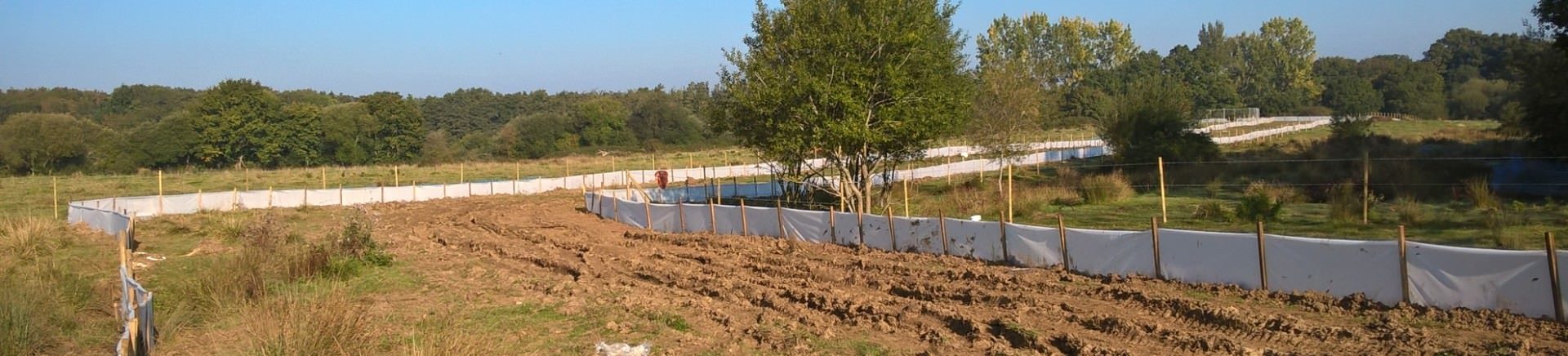 Great crested newt mitigation, rail improvement project, Hampshire