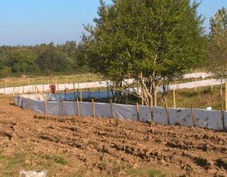 Great crested newt mitigation, rail improvement project, Hampshire