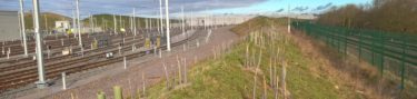 Soft landscaping, Stoke Gifford, Great Western Rail Line