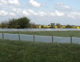 Great crested newt mitigation works, Steart Peninsula