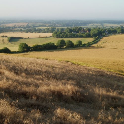 The 2016 State of Nature report published