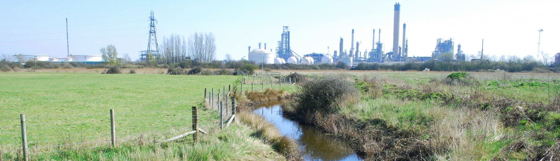 Habitat creation for newts and reptiles, Thames Gateway