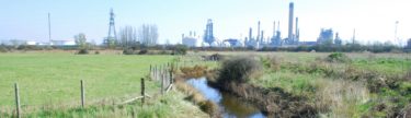 Habitat creation for newts and reptiles, Thames Gateway