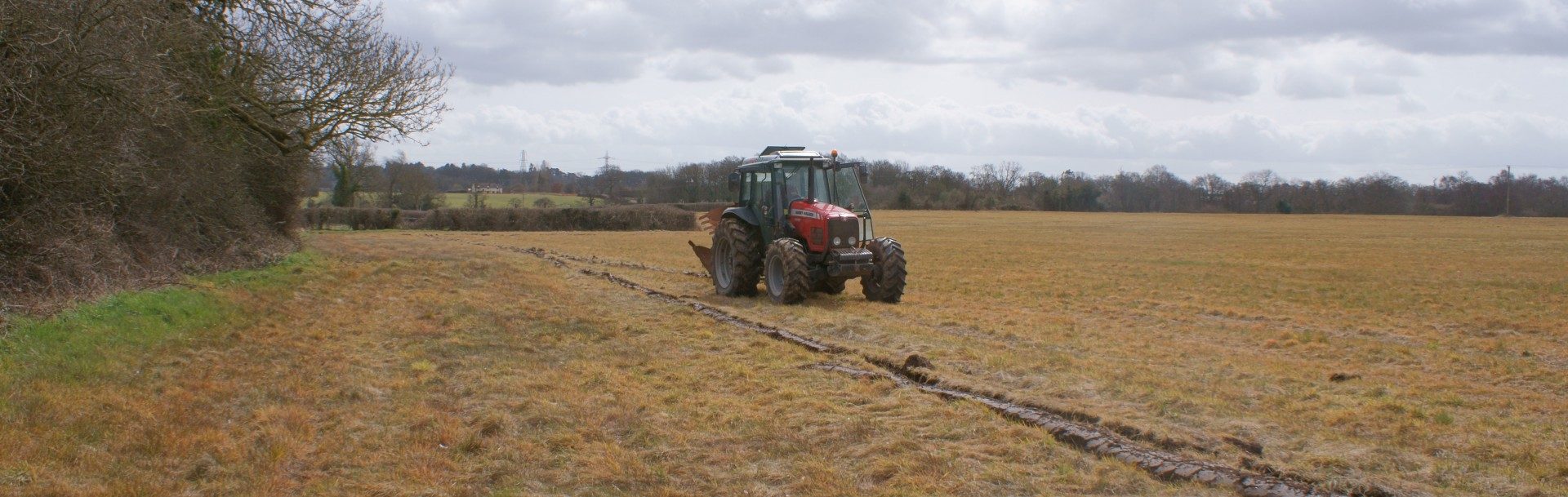 MG5 grassland, Birmingham Airport