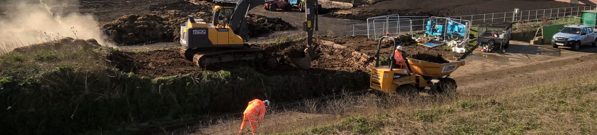 Japanese knotweed remediation, Kingston-upon-Thames