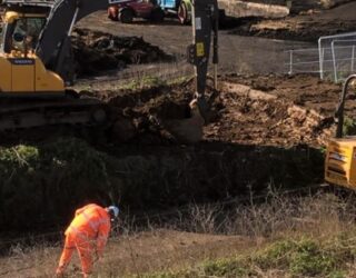Japanese knotweed remediation, Kingston-upon-Thames