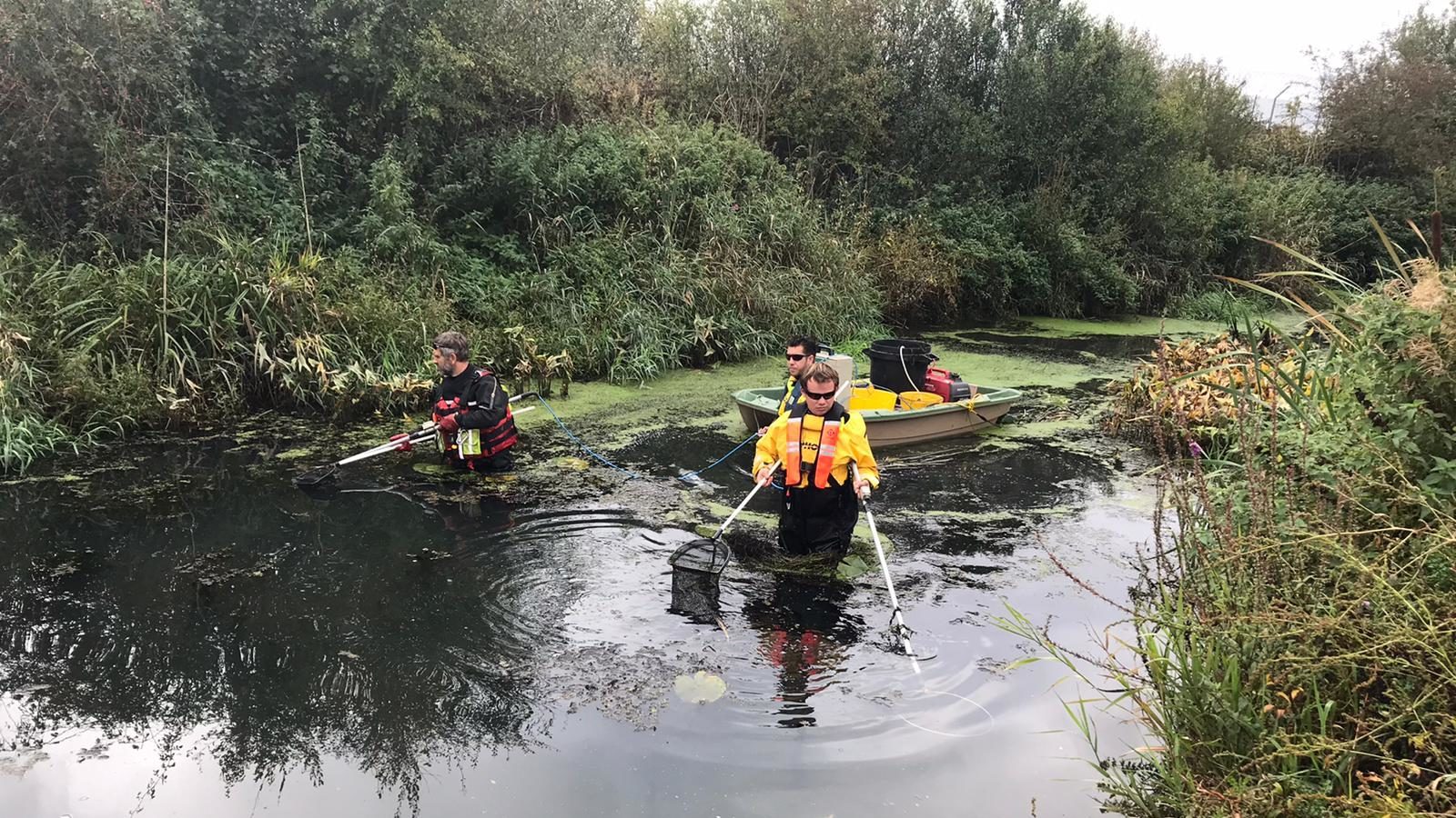Freshwater Surveys and Surface water monitoring