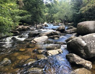 Hydrology and Hydrogeology