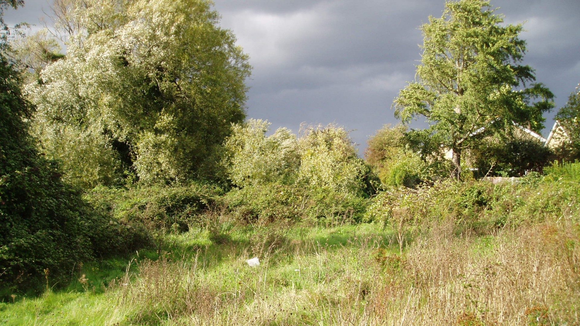 Avoid, minimise and …?