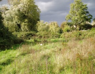 Avoid, minimise and …?