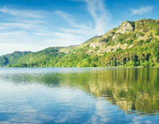 Thomson Ecology Survey Planner