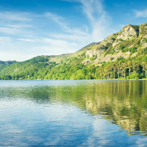 Thomson Ecology Survey Planner