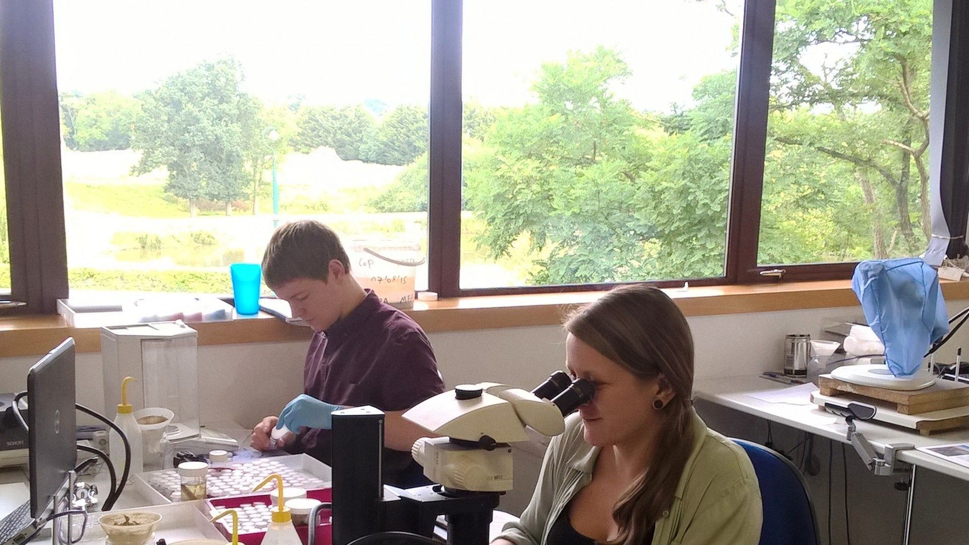 Marine Laboratory Analysis