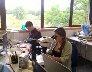 Marine Laboratory Analysis