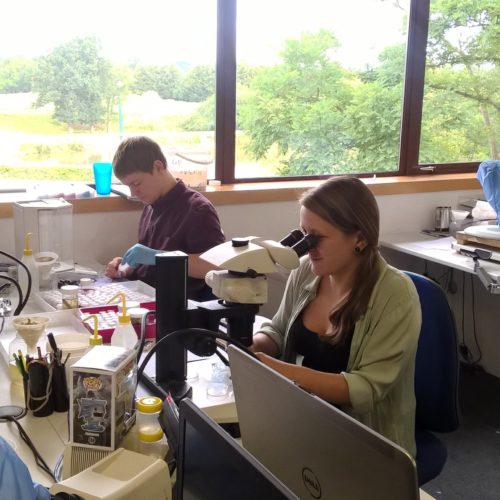 Marine Laboratory Analysis