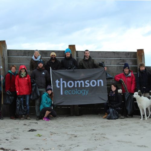 Beach clean for the Thomson Team