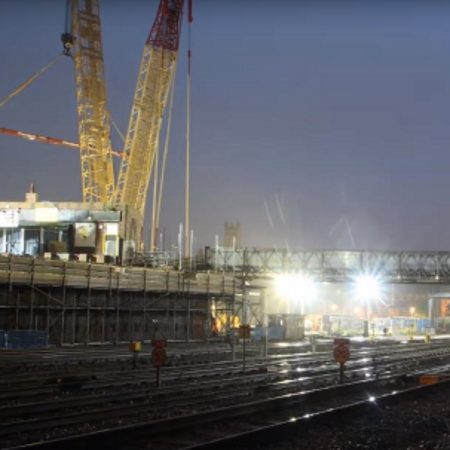 Bat surveys and bridge lift-out