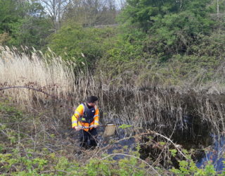aquatic ecologist surveying river biodiversity