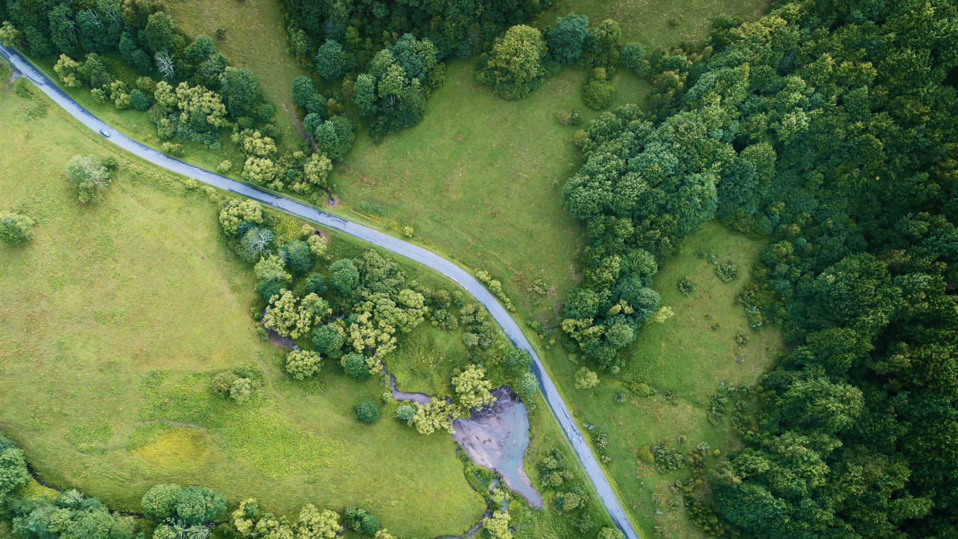 Biodiversity geospatial mapping