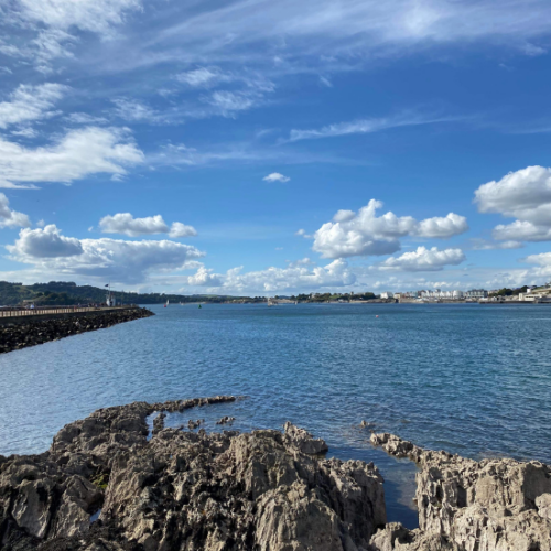Figure 1. Plymouth Sound