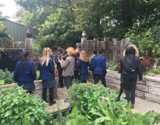 Mentoring for the RHS Green Plan It Challenge