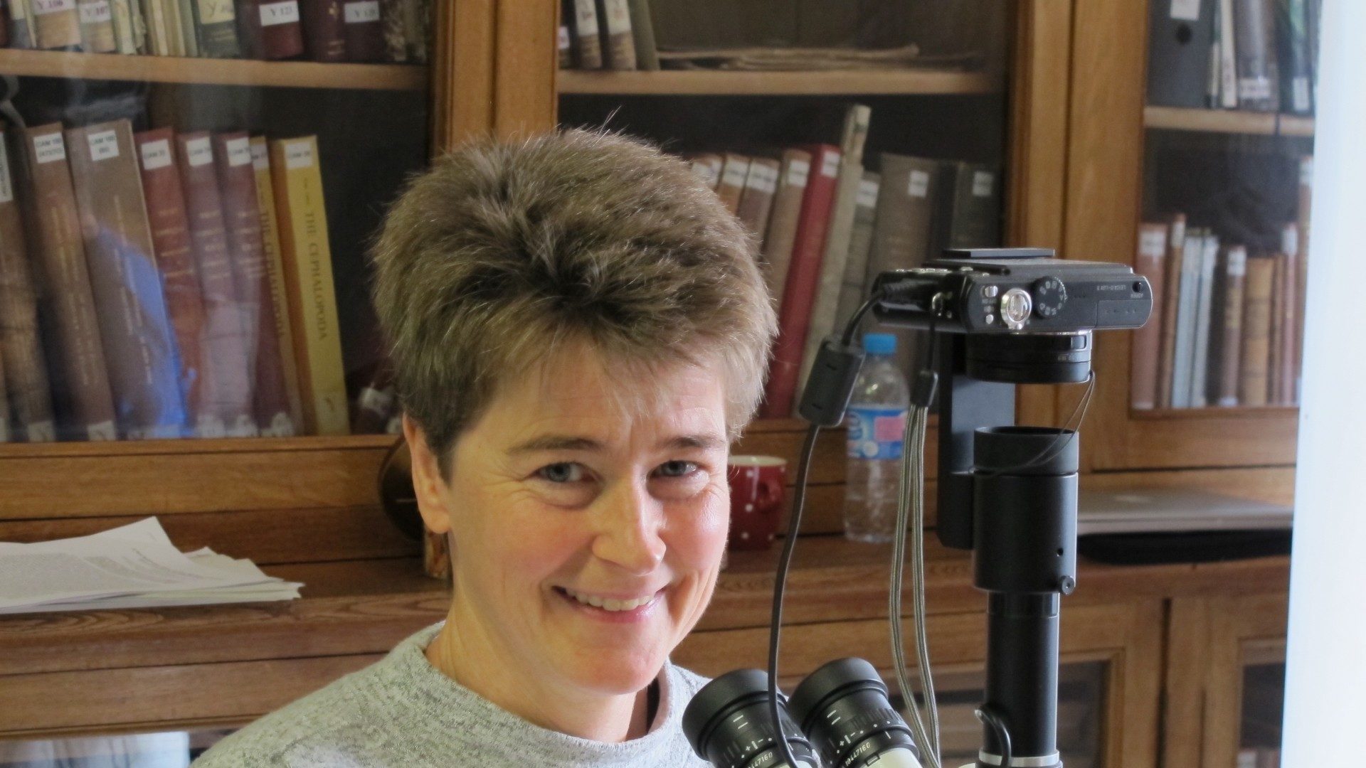 New species paper to be published online