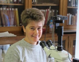 New species paper to be published online