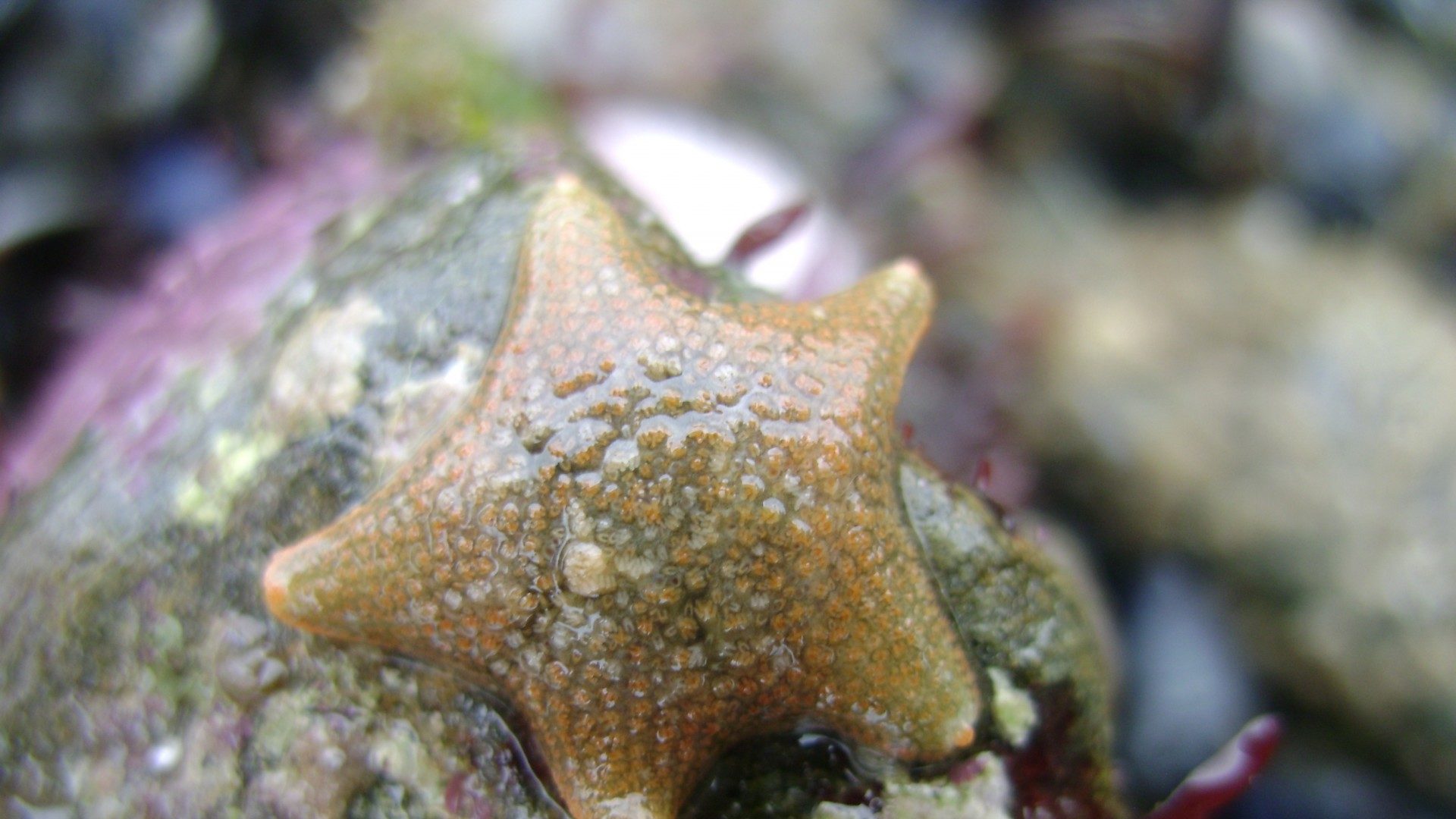 The Unicomarine team enthuses pupils at school’s “Science Week”