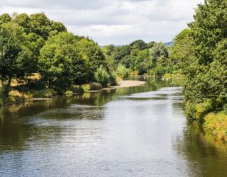 UK river - biodiversity net gain