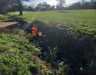 thomson-environment-agency-ecological-framework