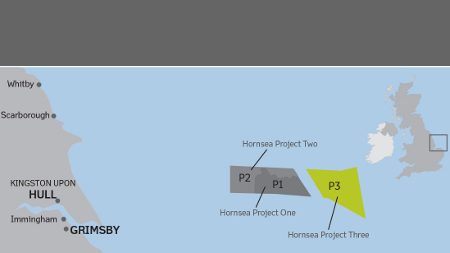 Thomson are providing ecology surveys for DONG Energy on Hornsea offshore wind farm